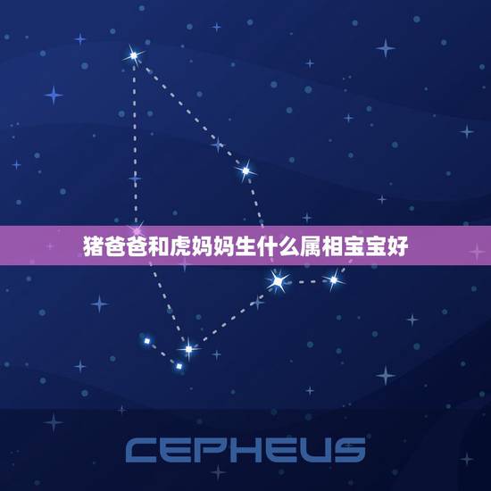 猪爸爸和虎妈妈生什么属相宝宝好,属虎的妈妈和属猪的爸爸生个什么属相的孩 猪爸爸和虎妈妈生什么属相宝宝好,属虎的妈妈和属猪的爸爸生个什么属相的孩