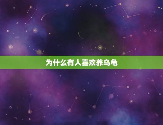 为什么有人喜欢养乌龟，为什么现在越来越多人开始喜欢养龟了呢？