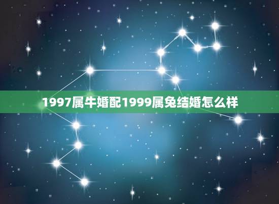 1997属牛婚配1999属兔结婚怎么样,男属牛(1997年)女属兔(‘ 1997属牛婚配1999属兔结婚怎么样,男属牛(1997年)女属兔(‘