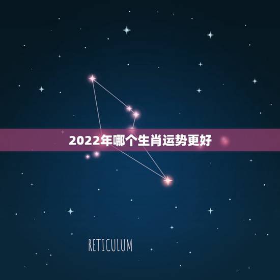 2022年哪个生肖运势更好,2022年哪些生肖财运更好 2022年哪个生肖运势更好,2022年哪些生肖财运更好