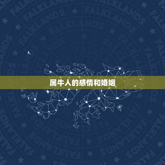 属牛人的感情和婚姻,感情和婚姻的区别 属牛人的感情和婚姻,感情和婚姻的区别