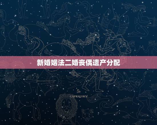 新婚姻法二婚丧偶遗产分配，新婚姻法关于丧偶再婚登记条件需要什么手续