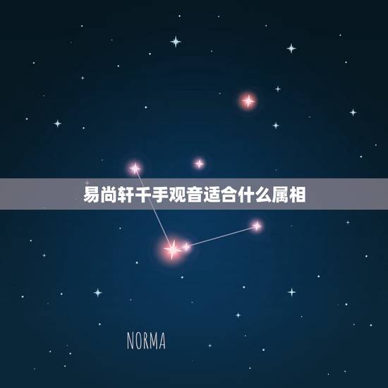 易尚轩千手观音适合什么属相，我的本命佛是千手观音，请问我带观音