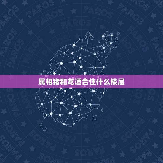 属相猪和龙适合住什么楼层，生肖龙，鼠，猪住几楼好
