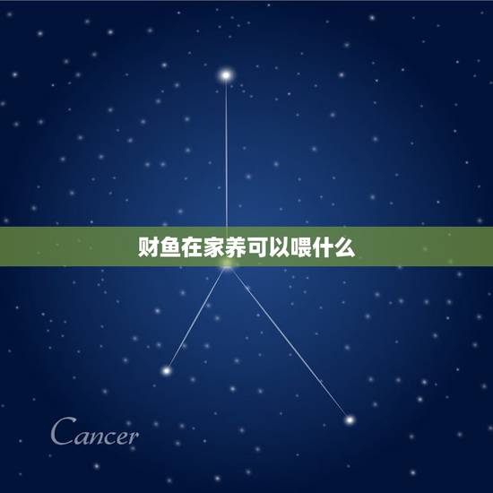 财鱼在家养可以喂什么,在家里怎么养好黑鱼 财鱼在家养可以喂什么,在家里怎么养好黑鱼