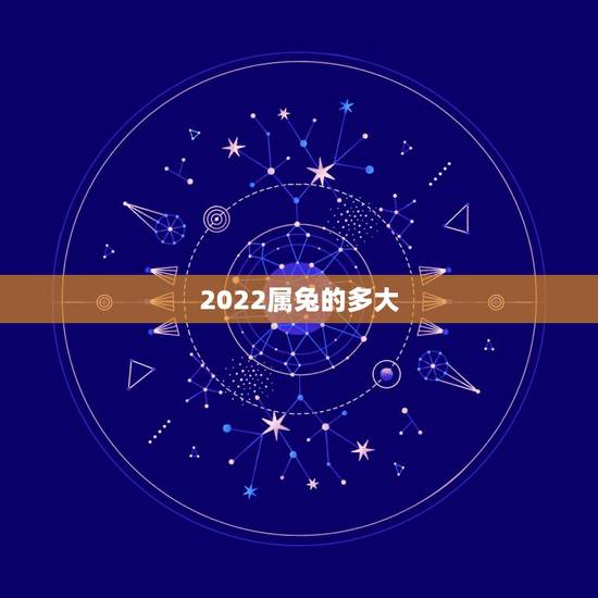 2022属兔的多大，兔人2022年运势