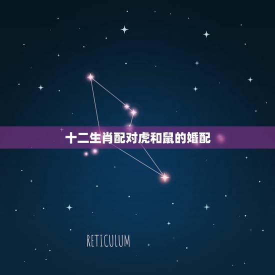 十二生肖配对虎和鼠的婚配，属虎和什么属相合婚