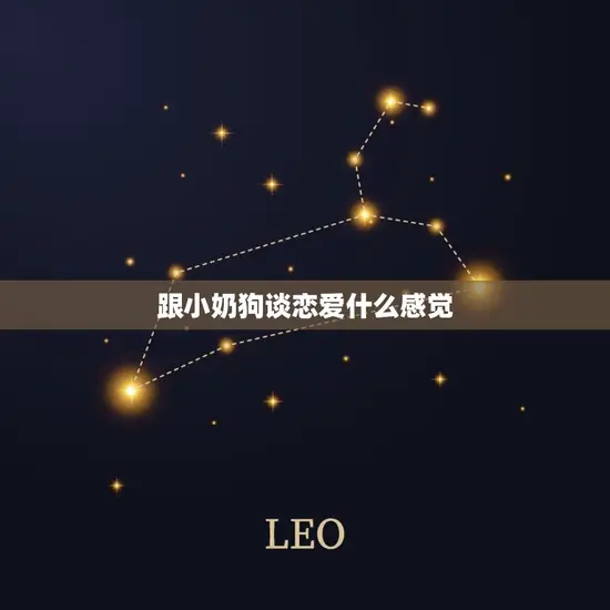 跟小奶狗谈恋爱什么感觉