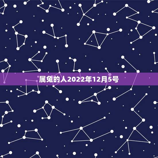 属兔的人2022年12月5号,属龙的人用什么 号码好 属兔的人2022年12月5号,属龙的人用什么 号码好