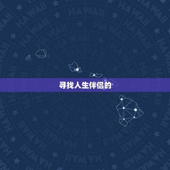 寻找人生伴侣的 寻找人生伴侣的