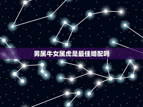 男属牛女属虎是最佳婚配吗,属虎的女和属牛的男相配吗 男属牛女属虎是最佳婚配吗,属虎的女和属牛的男相配吗