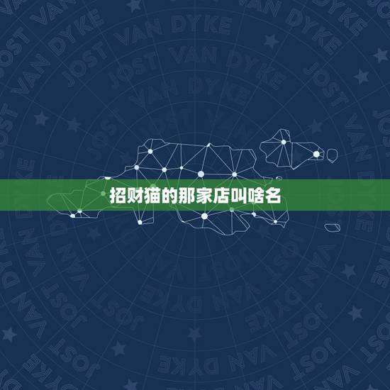 招财猫的那家店叫啥名，天津麦购四楼招财猫店叫什么名字？