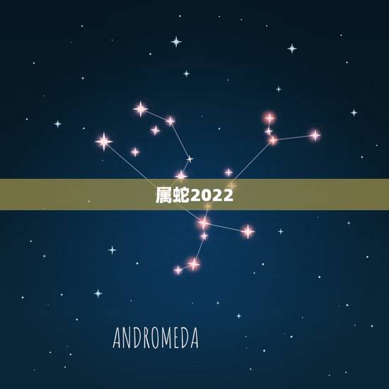 属蛇2022 年财运方向,属蛇的今年财运在哪个方向 属蛇2022 年财运方向,属蛇的今年财运在哪个方向