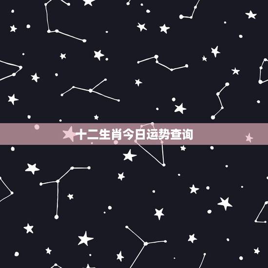 十二生肖今日运势查询，查询十二生肖运势