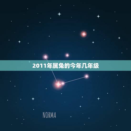 2011年属兔的今年几年级,2011年属兔是什么命 2011年属兔的今年几年级,2011年属兔是什么命