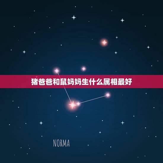 猪爸爸和鼠妈妈生什么属相最好，属狗妈妈属猪爸爸生什么宝宝最好