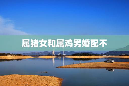 属猪女和属鸡男婚配不,男属鸡女属猪婚配好吗 属猪女和属鸡男婚配不,男属鸡女属猪婚配好吗