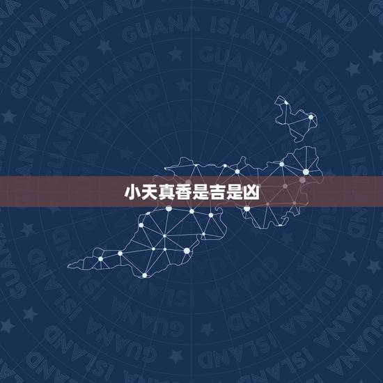 小天真香是吉是凶,小天真香是什么意思 小天真香是吉是凶,小天真香是什么意思