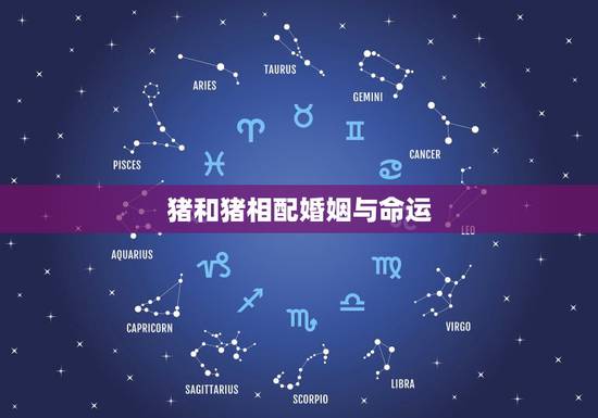 猪和猪相配婚姻与命运，十二生肖婚姻配对表