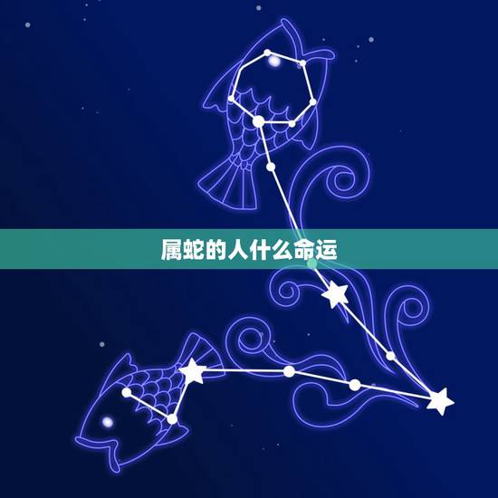 属蛇的人什么命运 属蛇45岁后命运 属蛇的人什么命运 属蛇45岁后命运