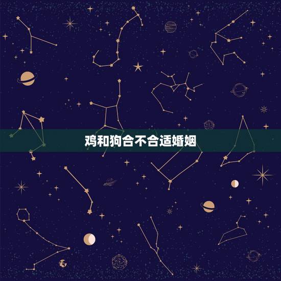 鸡和狗合不合适婚姻，1981年属鸡和1982年属狗合婚可以吗？