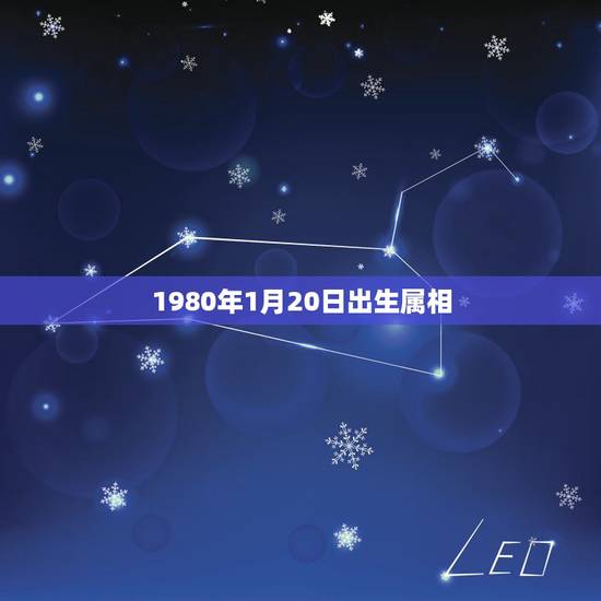 1980年1月20日出生属相，1980年1月20属什么