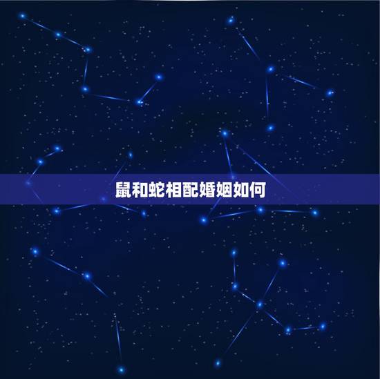 鼠和蛇相配婚姻如何，属蛇的和属鼠的婚姻相配吗