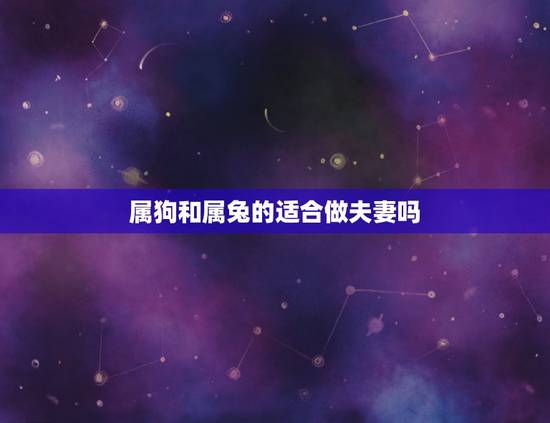属狗和属兔的适合做夫妻吗,属狗的和属兔的在一起好吗? 属狗和属兔的适合做夫妻吗,属狗的和属兔的在一起好吗?