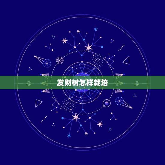 发财树怎样栽培，发财树怎么栽培