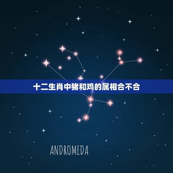 十二生肖中猪和鸡的属相合不合，牛跟什么生肖不合