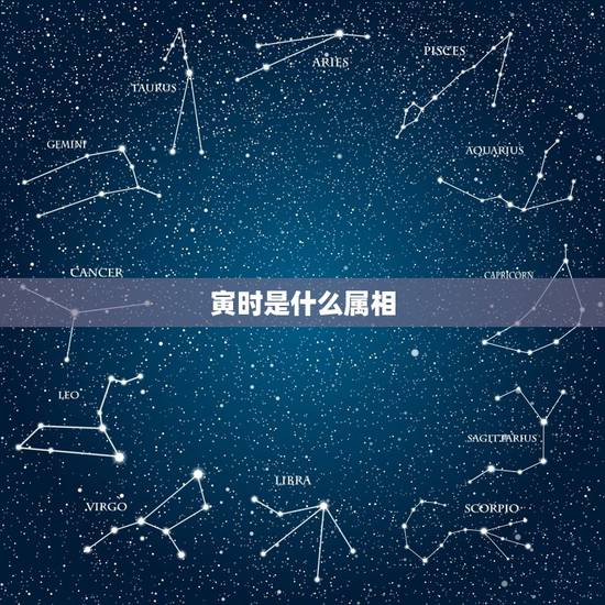 寅时是什么属相,寅时是属于什么生肖 寅时是什么属相,寅时是属于什么生肖