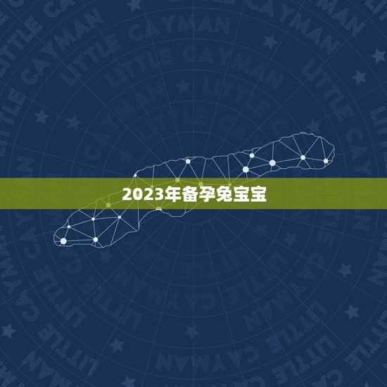 2023年备孕兔宝宝，2023年兔宝宝好不好