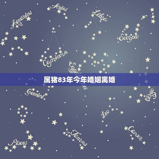 属猪83年今年婚姻离婚，属猪83年今年婚姻家庭如何
