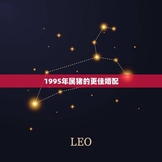 1995年属猪的更佳婚配,1995年属猪的更佳配偶那一年 1995年属猪的更佳婚配,1995年属猪的更佳配偶那一年