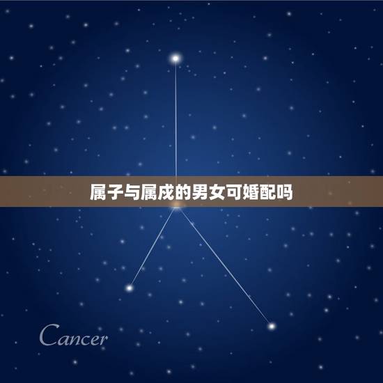 属子与属戍的男女可婚配吗，日柱戍子和戌午能合婚吗