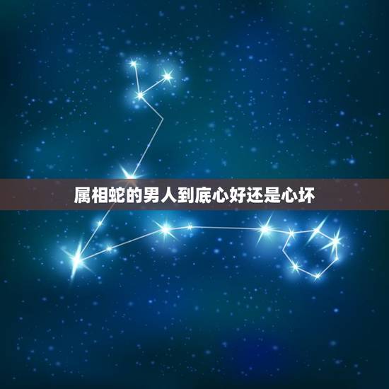 属相蛇的男人到底心好还是心坏,男人属蛇命运财运爱情怎样和什么属象合适 属相蛇的男人到底心好还是心坏,男人属蛇命运财运爱情怎样和什么属象合适