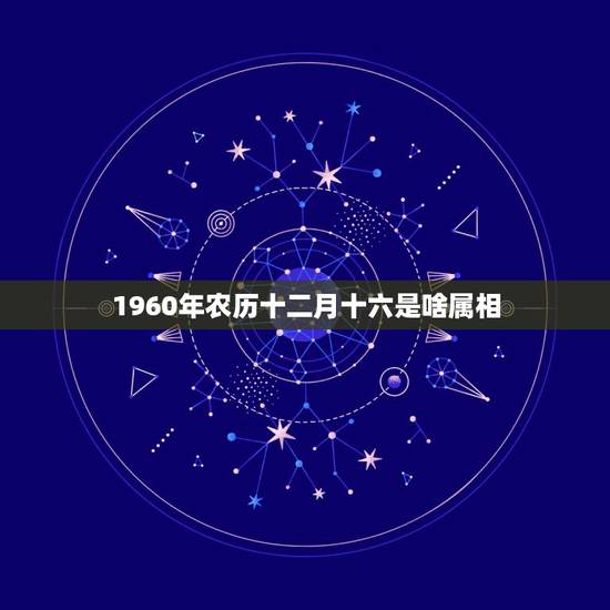 1960年农历十二月十六是啥属相，1960年12月16日出生的人农历是
