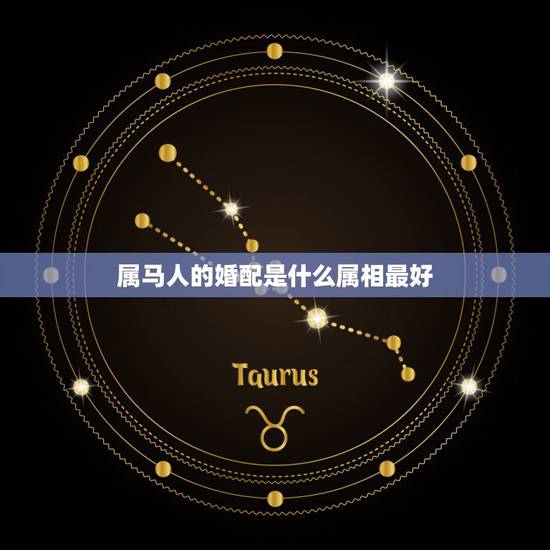 属马人的婚配是什么属相最好，属马的人配什么属相更好
