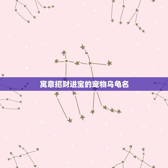 寓意招财进宝的宠物乌龟名，茶宠是什么意思？不同茶宠都有什么寓意？