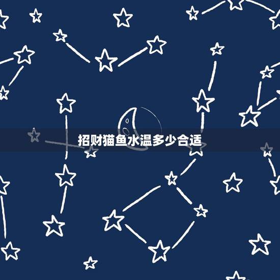 招财猫鱼水温多少合适，招财猫鱼的饲养方法及注意事项