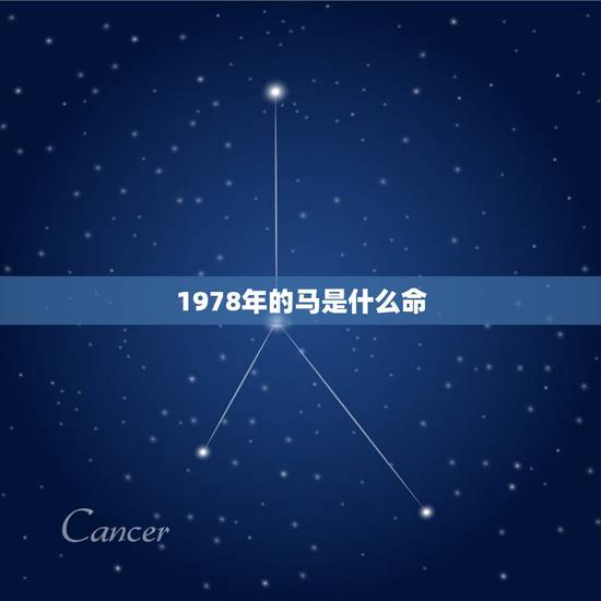 1978年的马是什么命,1978年属马2022 年有一劫 1978年的马是什么命,1978年属马2022 年有一劫