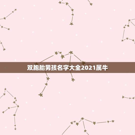 双胞胎男孩名字大全2021属牛,好听稀少的男孩名字2021 双胞胎男孩名字大全2021属牛,好听稀少的男孩名字2021