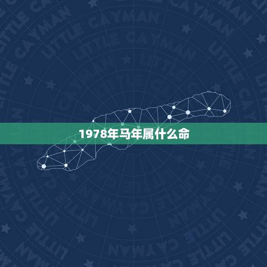 1978年马年属什么命，1978属马的是什么命