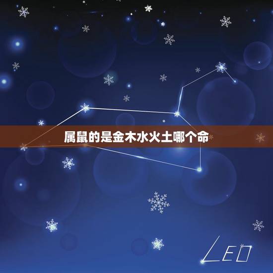 属鼠的是金木水火土哪个命,2022 年鼠年五行属什么缺什么 属鼠的是金木水火土哪个命,2022 年鼠年五行属什么缺什么