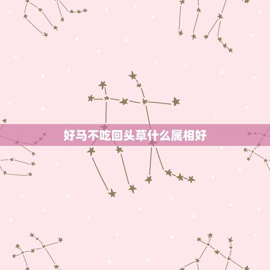 好马不吃回头草什么属相好,好马不吃回头草比喻什么? 好马不吃回头草什么属相好,好马不吃回头草比喻什么?