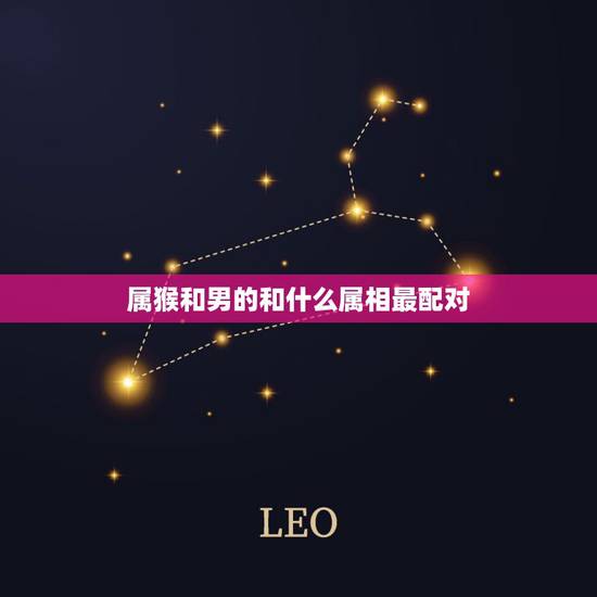 属猴和男的和什么属相最配对,属猴男人和什么属相结合最好 属猴和男的和什么属相最配对,属猴男人和什么属相结合最好