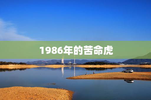 1986年的苦命虎，86属虎一生有几次婚姻