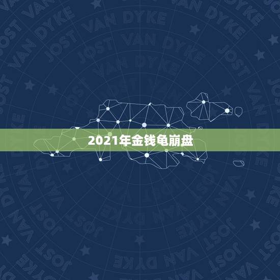 2021年金钱龟崩盘,南石金钱龟崩盘了,黄缘闭壳龟会跌吗 2021年金钱龟崩盘,南石金钱龟崩盘了,黄缘闭壳龟会跌吗