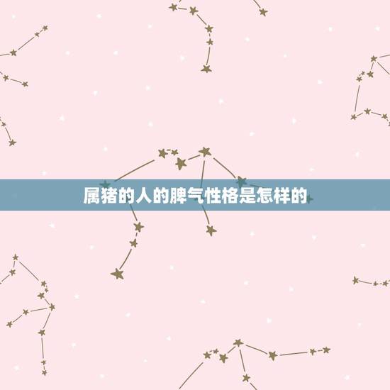 属猪的人的脾气性格是怎样的,属猪男人的性格和脾气 属猪的人的脾气性格是怎样的,属猪男人的性格和脾气