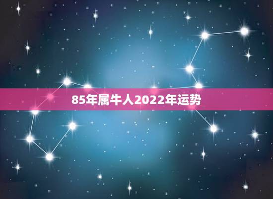 85年属牛人2022年运势,85年属牛今年的运势如何 85年属牛人2022年运势,85年属牛今年的运势如何